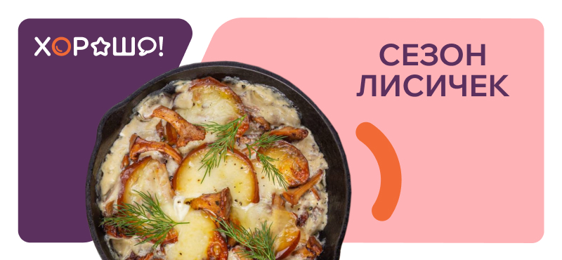 Сезон лисичек объявляется открытым! 