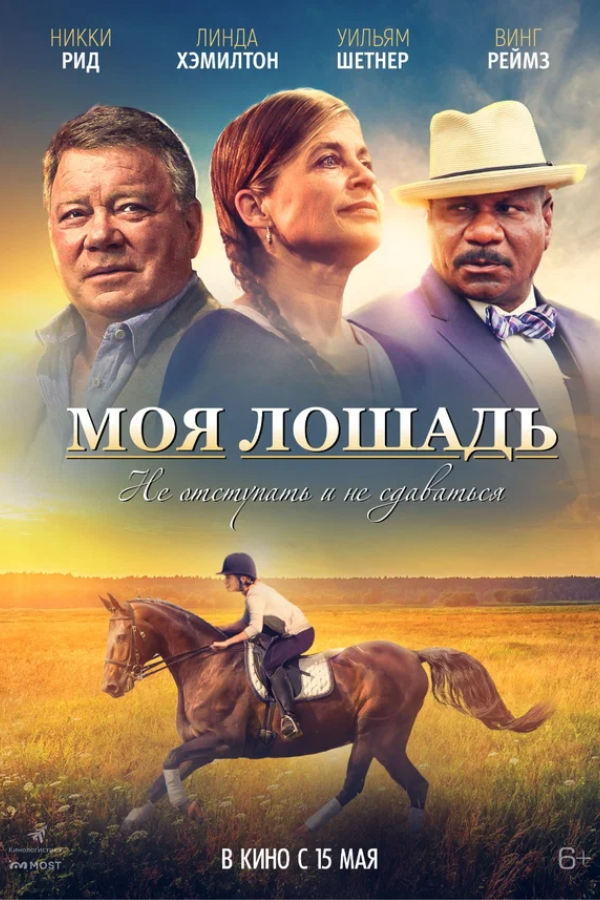 Моя лошадь