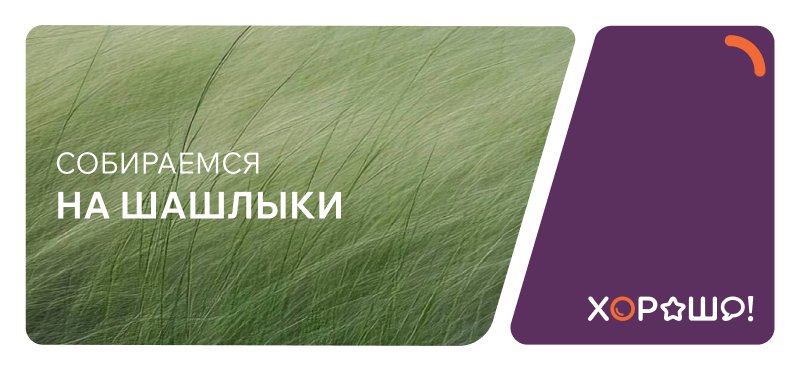 Готовимся к шашлыкам: подборка от ТРЦ Хорошо!