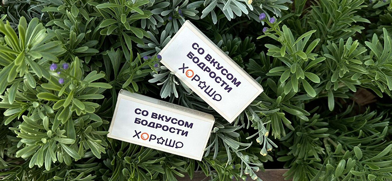 Кофейные зерна в шоколадной глазури от ТРЦ Хорошо!