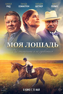 Моя лошадь